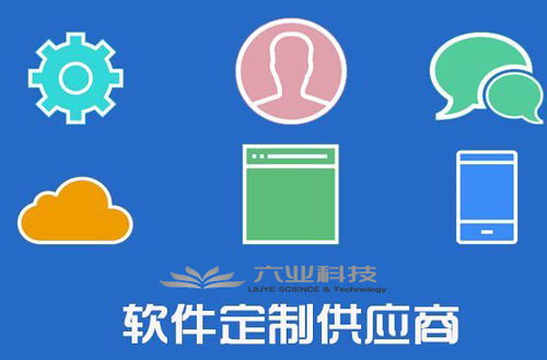六業應用軟件開發全流程解析 從構想到交付